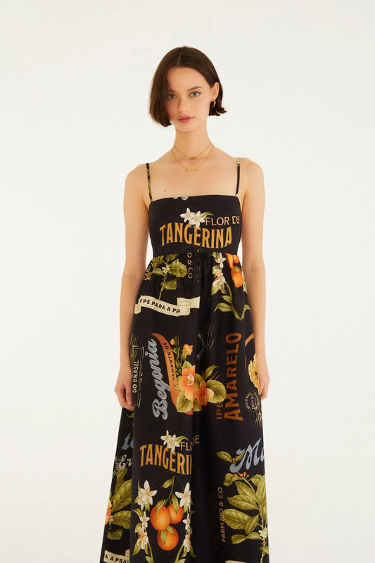 Vestido Longo Estampado Selos Do Brasil
