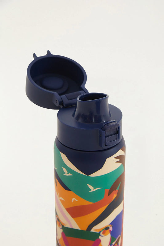 Garrafa etc calopsita skatista 650ml