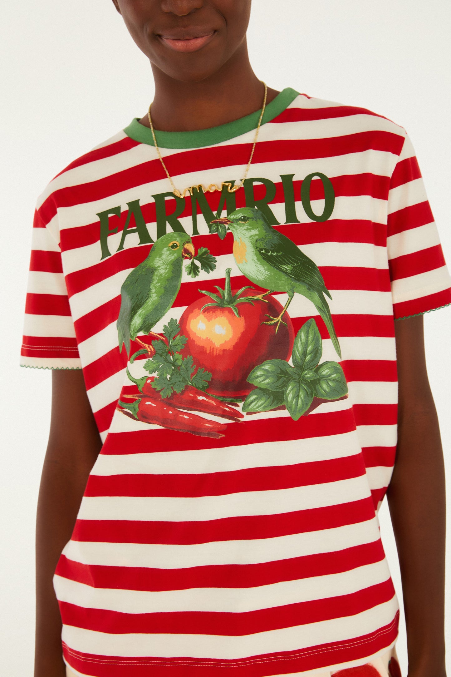 T- SHIRT FARM PASSARO